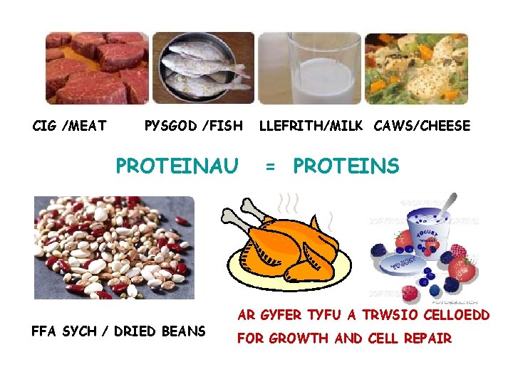 CIG /MEAT PYSGOD /FISH PROTEINAU FFA SYCH / DRIED BEANS LLEFRITH/MILK CAWS/CHEESE = PROTEINS