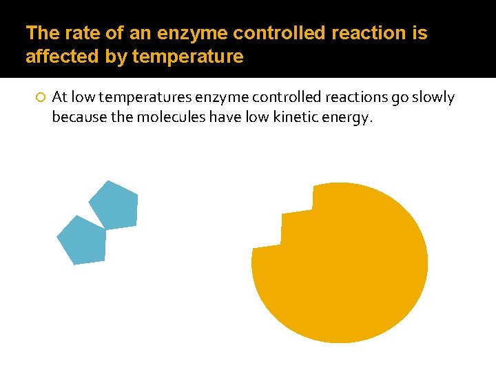 The rate of an enzyme controlled reaction is affected by temperature At low temperatures