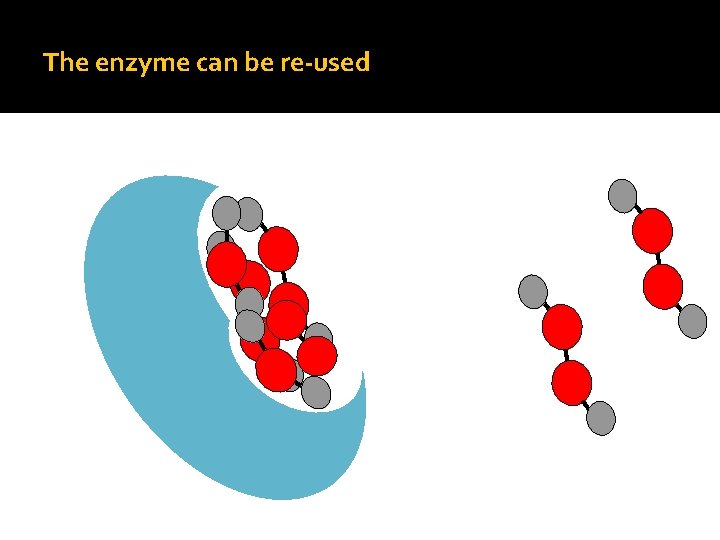 The enzyme can be re-used 