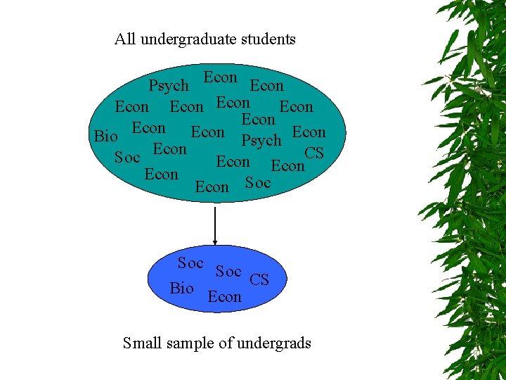 All undergraduate students Psych Econ Econ Econ Psych Econ Bio Soc Econ. CS Econ