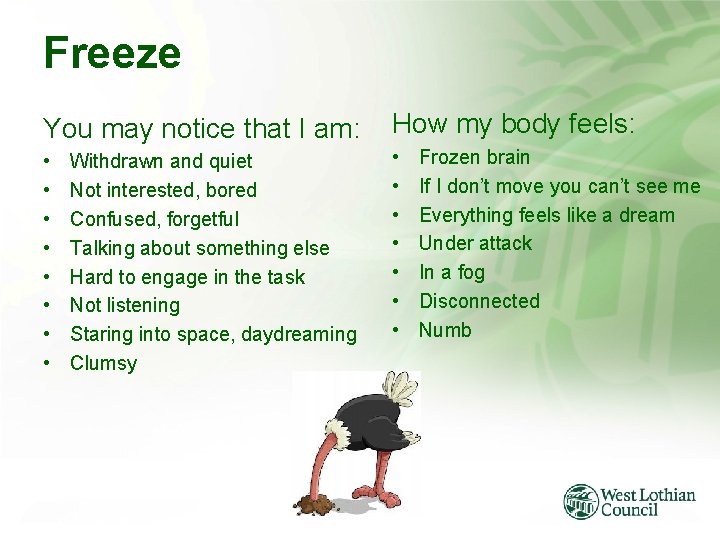 Freeze You may notice that I am: How my body feels: • • •