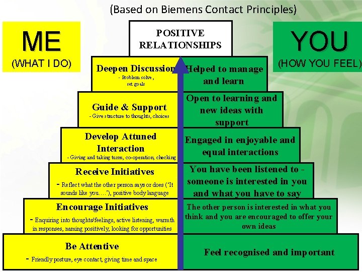 (Based on Biemens Contact Principles) ME POSITIVE RELATIONSHIPS YOU (WHAT I DO) Deepen Discussion