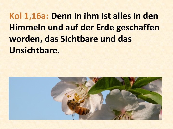 Kol 1, 16 a: Denn in ihm ist alles in den Himmeln und auf