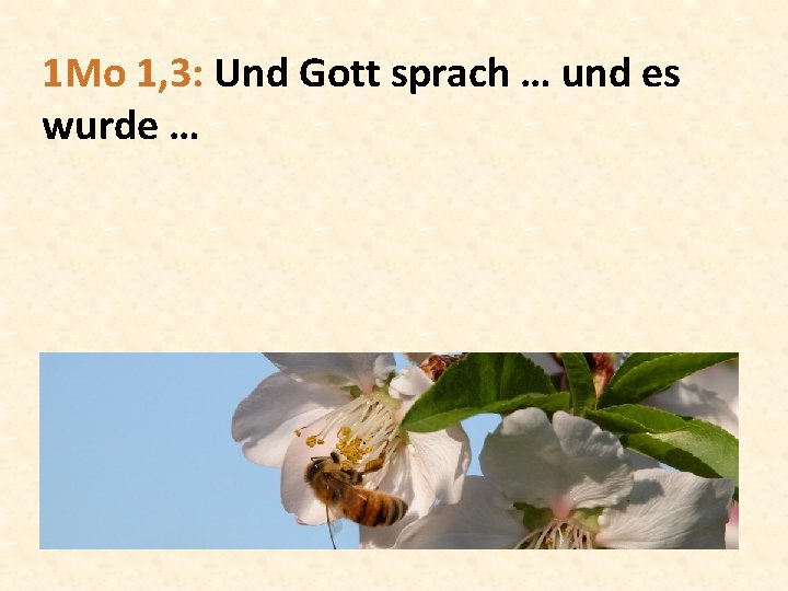 1 Mo 1, 3: Und Gott sprach … und es wurde … 