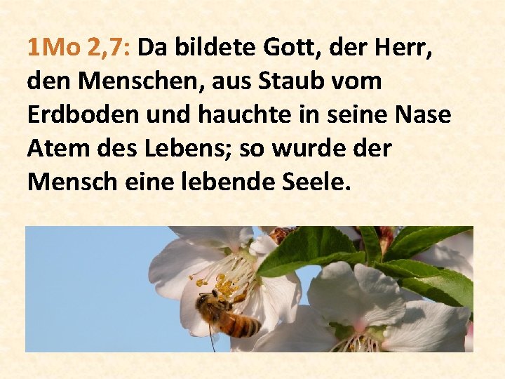 1 Mo 2, 7: Da bildete Gott, der Herr, den Menschen, aus Staub vom