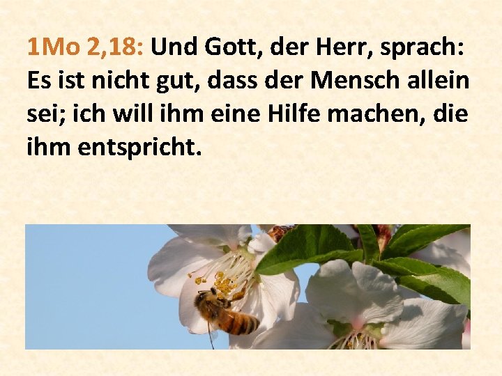 1 Mo 2, 18: Und Gott, der Herr, sprach: Es ist nicht gut, dass