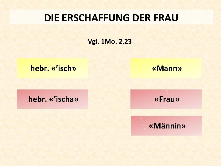 DIE ERSCHAFFUNG DER FRAU Vgl. 1 Mo. 2, 23 hebr. «’isch» «Mann» hebr. «’ischa»
