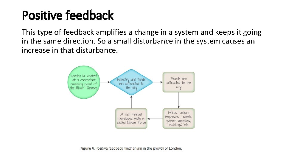 Positive feedback This type of feedback amplifies a change in a system and keeps