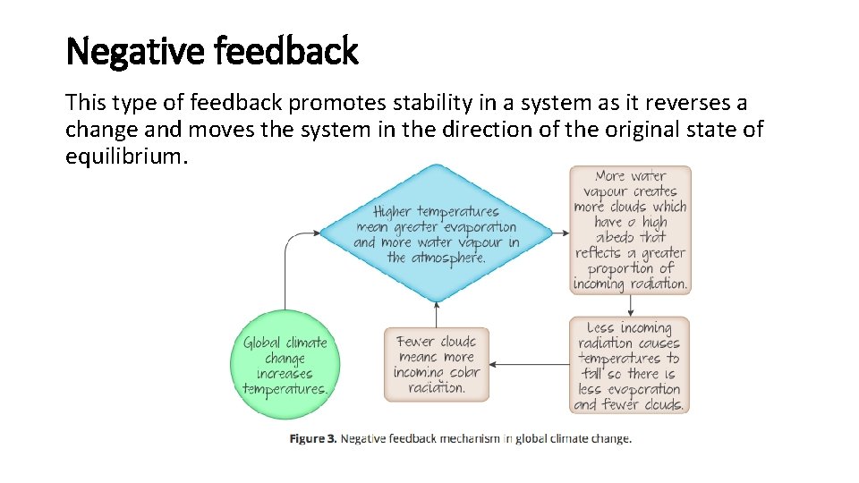 Negative feedback This type of feedback promotes stability in a system as it reverses