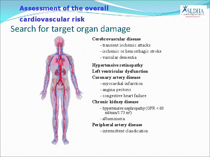 Assessment of the overall cardiovascular risk Search for target organ damage Cerebrovascular disease -