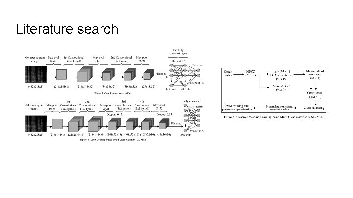 Literature search Literature search