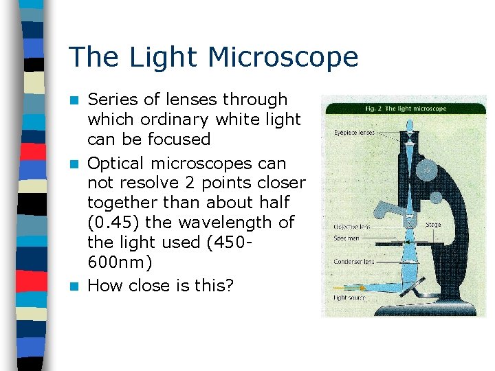 The Light Microscope Series of lenses through which ordinary white light can be focused
