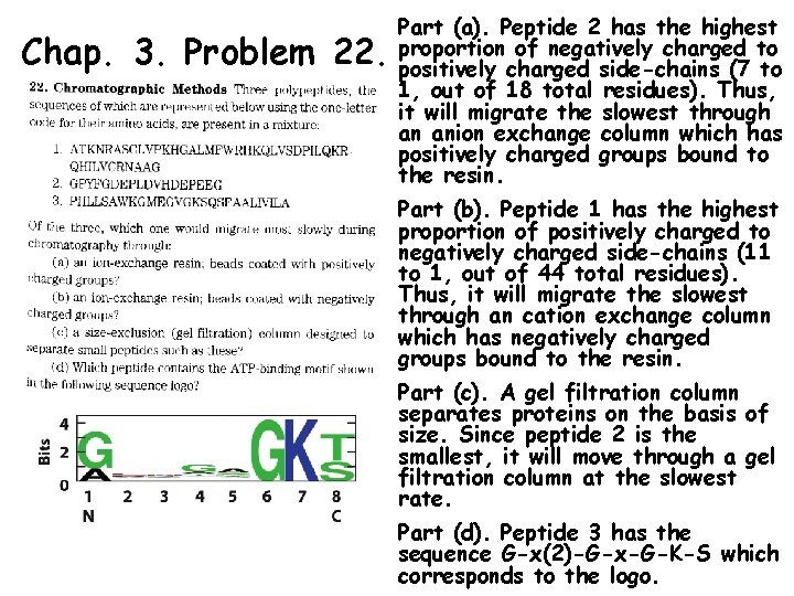 Chap. 3. Problem 22. Part (a). Peptide 2 has the highest proportion of negatively