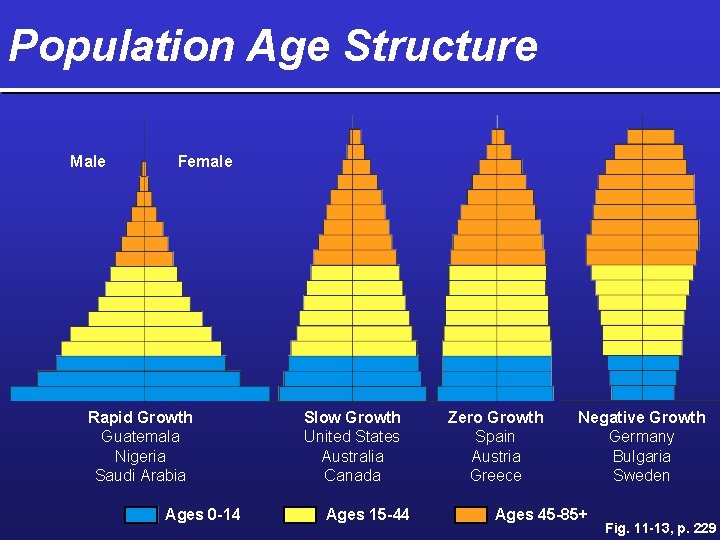 Population Age Structure Male Female Rapid Growth Guatemala Nigeria Saudi Arabia Ages 0 -14