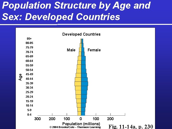 Population Structure by Age and Sex: Developed Countries 85+ 80 -85 75 -79 Male