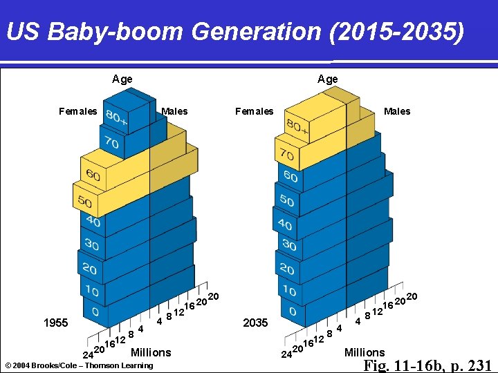 US Baby-boom Generation (2015 -2035) Age Females 1955 Males 4 4 16 20 8