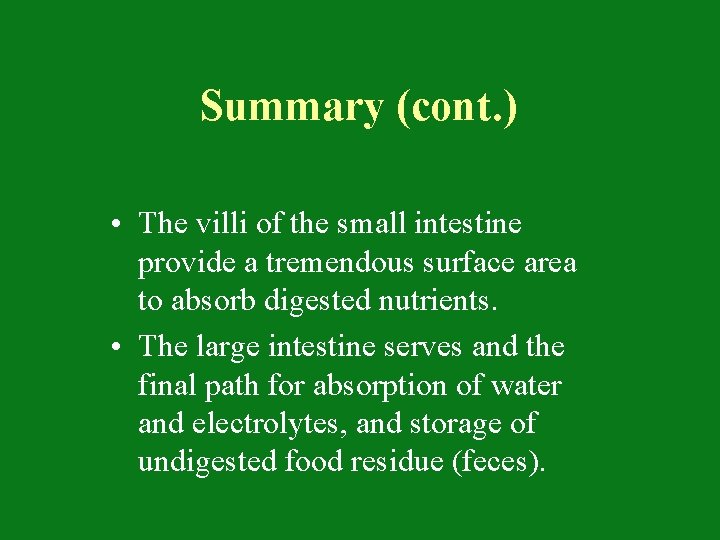 Summary (cont. ) • The villi of the small intestine provide a tremendous surface