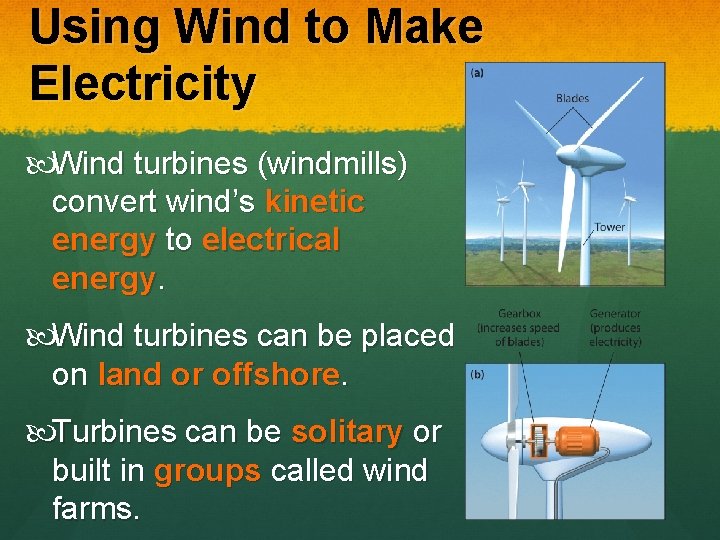 Using Wind to Make Electricity Wind turbines (windmills) convert wind’s kinetic energy to electrical