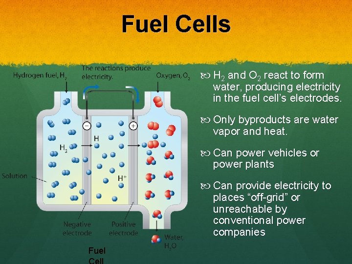 Fuel Cells H 2 and O 2 react to form water, producing electricity in