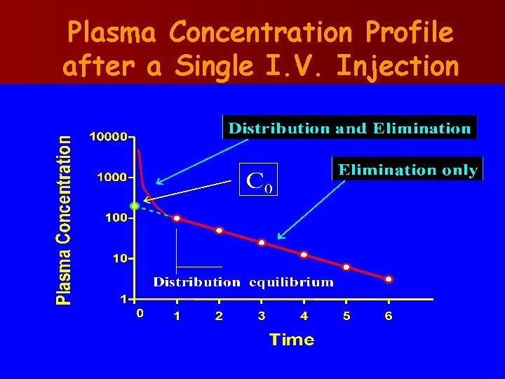 Plasma Concentration Profile after a Single I. V. Injection 