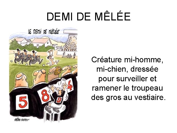 DEMI DE MÊLÉE Créature mi-homme, mi-chien, dressée pour surveiller et ramener le troupeau des