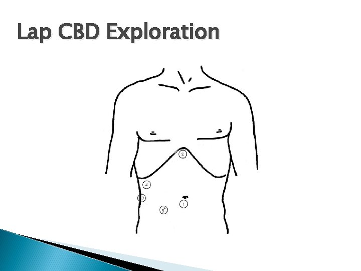 Lap CBD Exploration 