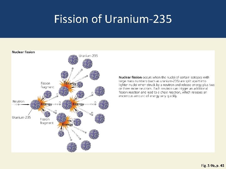 Fission of Uranium-235 Fig. 2 -9 b, p. 43 