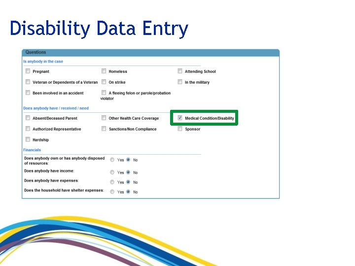 Disability Data Entry 