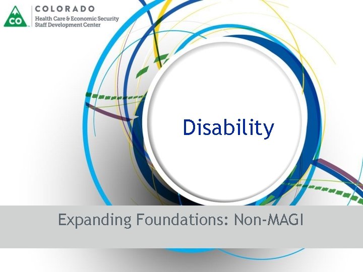 Disability Expanding Foundations: Non-MAGI 