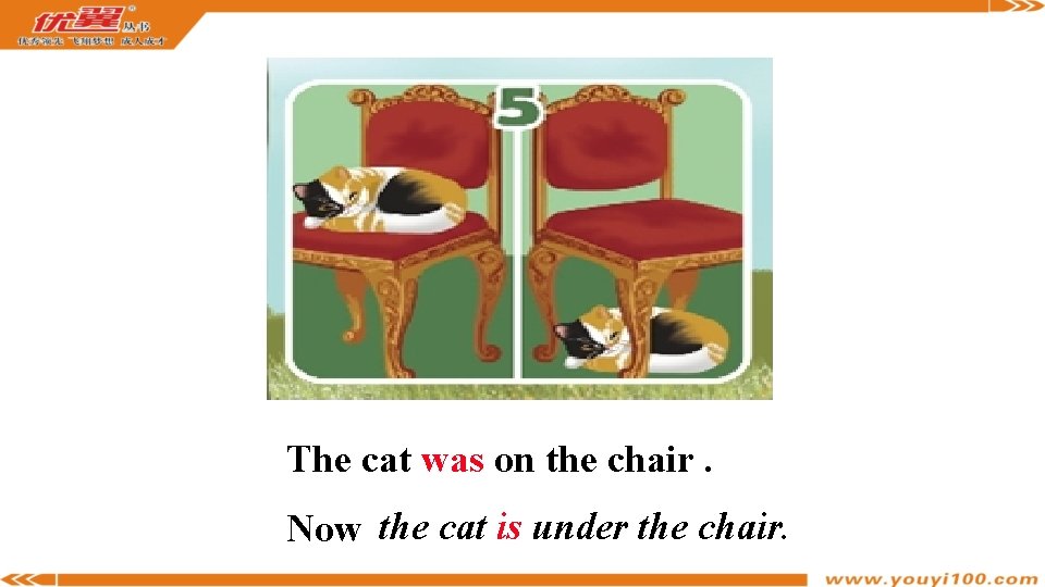 The cat was on the chair. Now the cat is under the chair. 