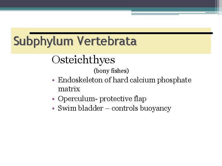 Subphylum Vertebrata Osteichthyes (bony fishes) • Endoskeleton of hard calcium phosphate matrix • Operculum-