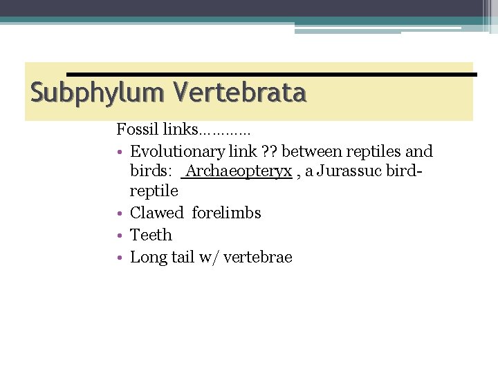 Subphylum Vertebrata Fossil links………… • Evolutionary link ? ? between reptiles and birds: Archaeopteryx