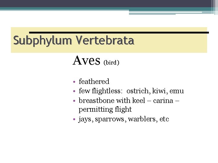 Subphylum Vertebrata Aves (bird) • feathered • few flightless: ostrich, kiwi, emu • breastbone