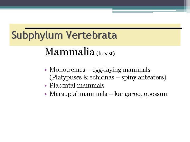 Subphylum Vertebrata Mammalia (breast) • Monotremes – egg-laying mammals (Platypuses & echidnas – spiny