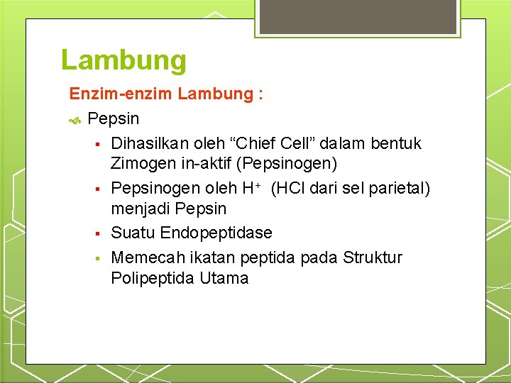 Lambung Enzim-enzim Lambung : Pepsin Dihasilkan oleh “Chief Cell” dalam bentuk Zimogen in-aktif (Pepsinogen)