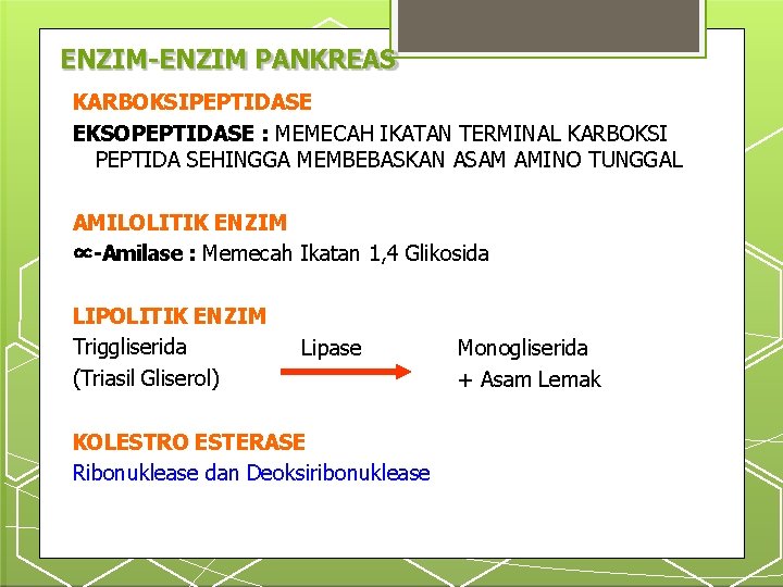 ENZIM-ENZIM PANKREAS KARBOKSIPEPTIDASE EKSOPEPTIDASE : MEMECAH IKATAN TERMINAL KARBOKSI PEPTIDA SEHINGGA MEMBEBASKAN ASAM AMINO