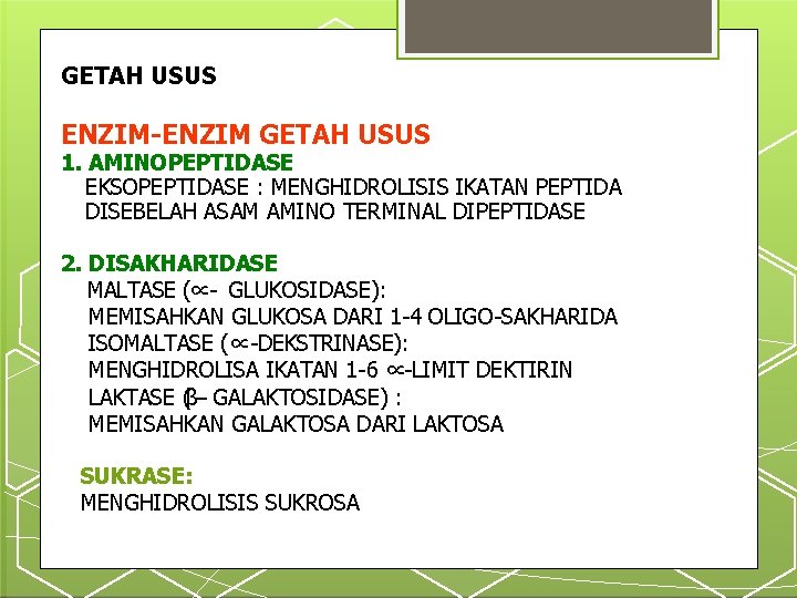 GETAH USUS ENZIM-ENZIM GETAH USUS 1. AMINOPEPTIDASE EKSOPEPTIDASE : MENGHIDROLISIS IKATAN PEPTIDA DISEBELAH ASAM