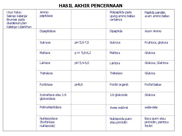 HASIL AKHIR PENCERNAAN Usus halus: Sekresi kelenjar Brunner pada duodenum, dan Kelenjar Liberkhun Aminopeptidase