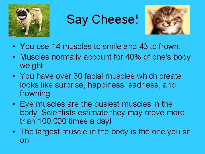 Say Cheese! • You use 14 muscles to smile and 43 to frown. •