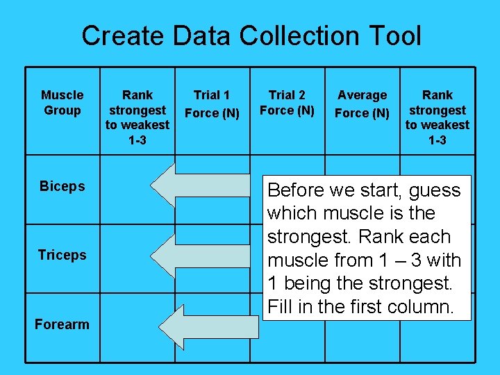 Create Data Collection Tool Muscle Group Biceps Triceps Forearm Rank strongest to weakest 1