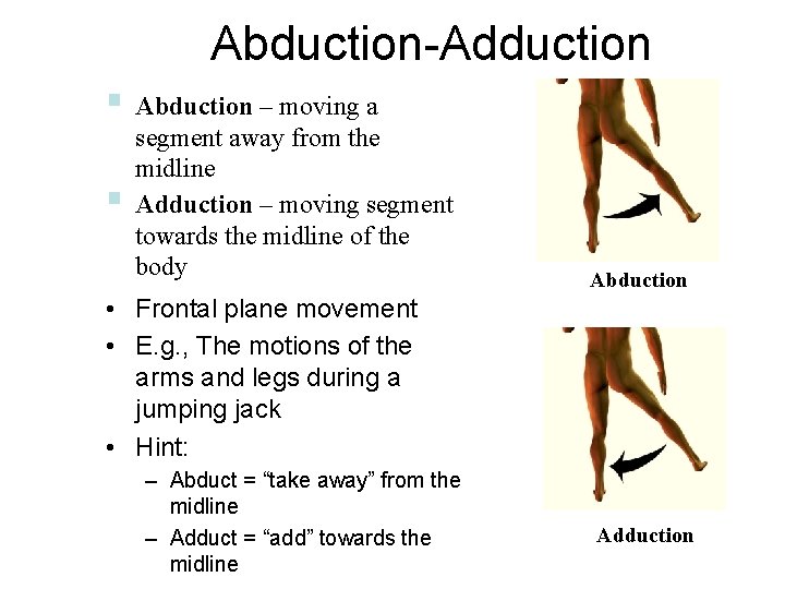 Abduction-Adduction § Abduction – moving a § segment away from the midline Adduction – Abduction-Adduction § Abduction – moving a § segment away from the midline Adduction –