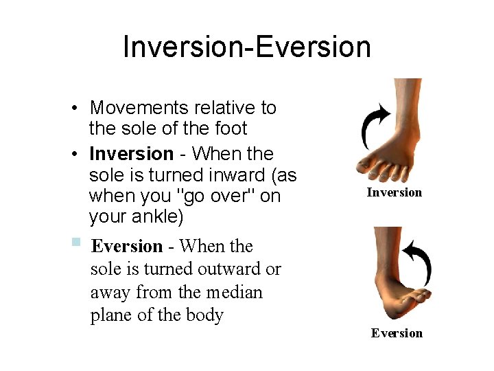 Inversion-Eversion • Movements relative to the sole of the foot • Inversion - When Inversion-Eversion • Movements relative to the sole of the foot • Inversion - When