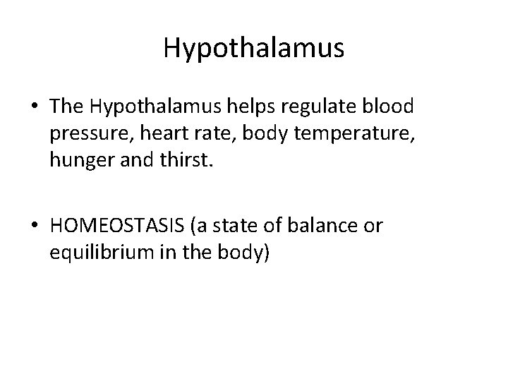 Hypothalamus • The Hypothalamus helps regulate blood pressure, heart rate, body temperature, hunger and
