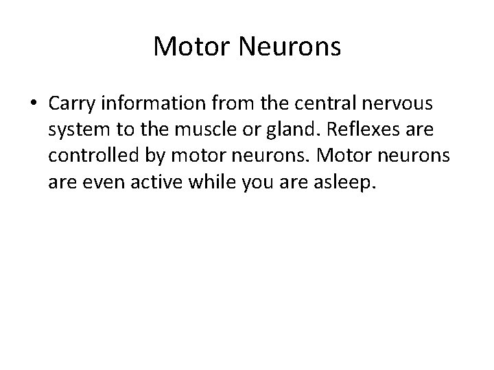 Motor Neurons • Carry information from the central nervous system to the muscle or
