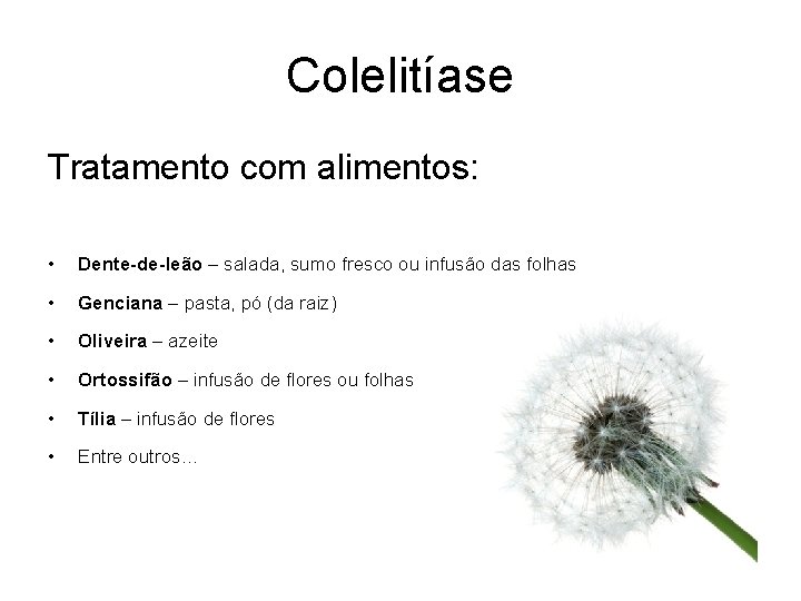 Colelitíase Tratamento com alimentos: • Dente-de-leão – salada, sumo fresco ou infusão das folhas