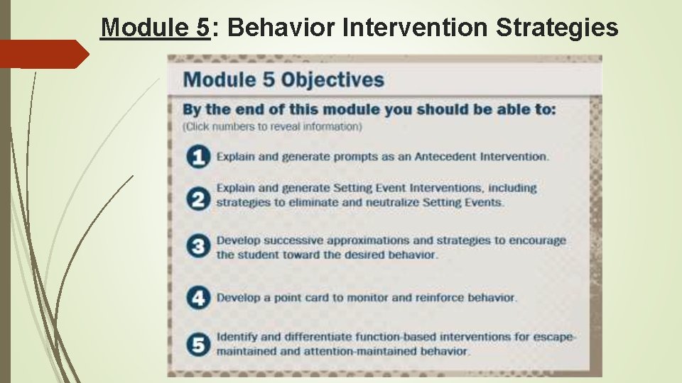 Module 5: Behavior Intervention Strategies 