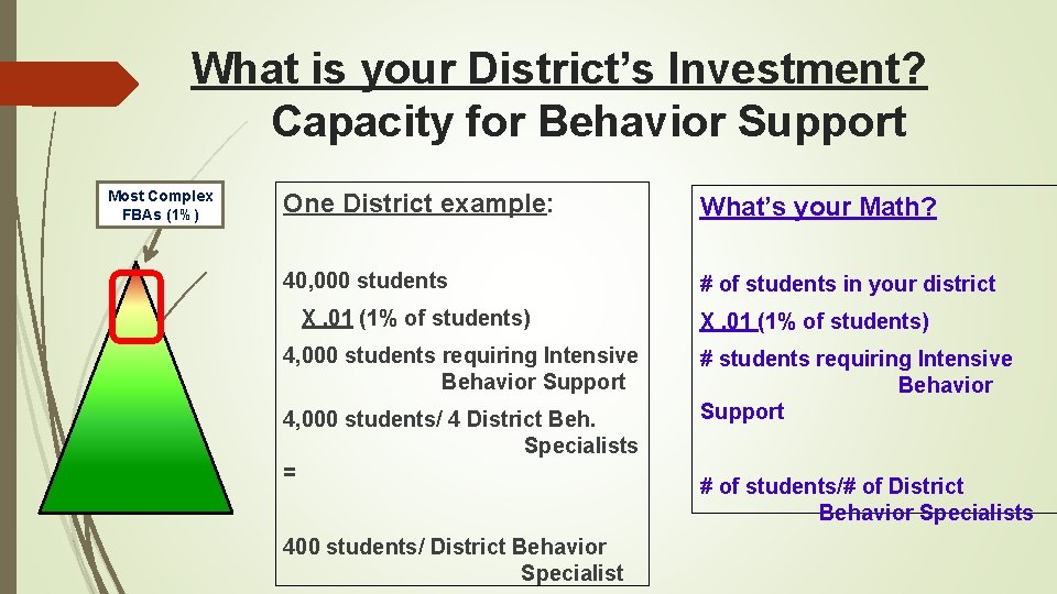 What is your District’s Investment? Capacity for Behavior Support Most Complex FBAs (1%) One