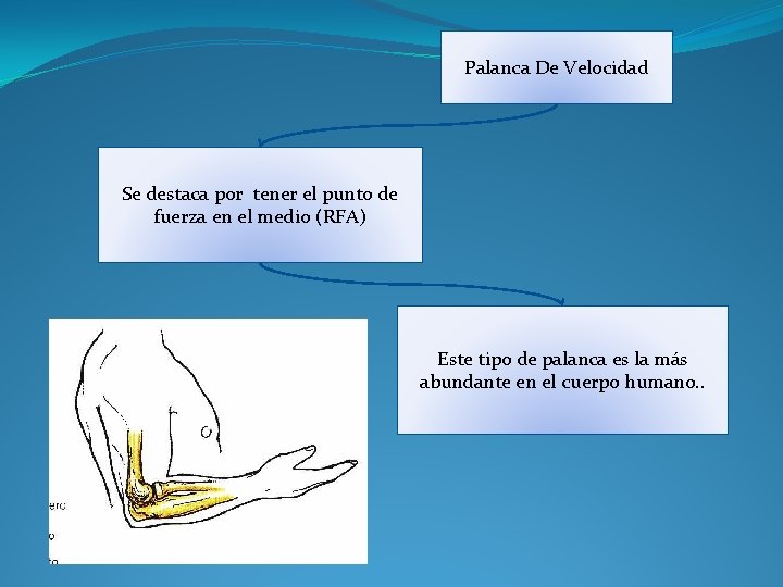 Palanca De Velocidad Se destaca por tener el punto de fuerza en el medio