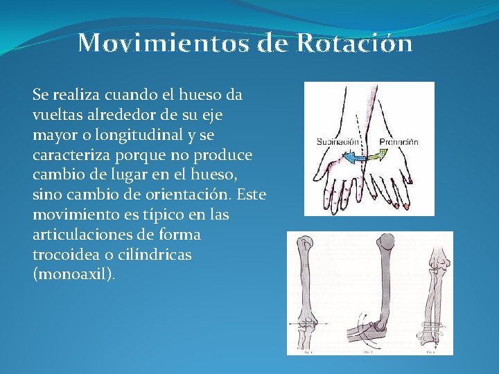 Movimientos de Rotación Se realiza cuando el hueso da vueltas alrededor de su eje