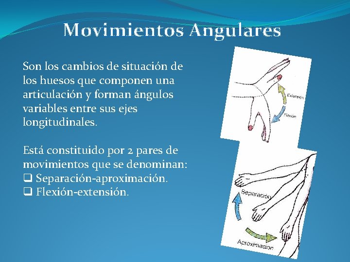 Movimientos Angulares Son los cambios de situación de los huesos que componen una articulación